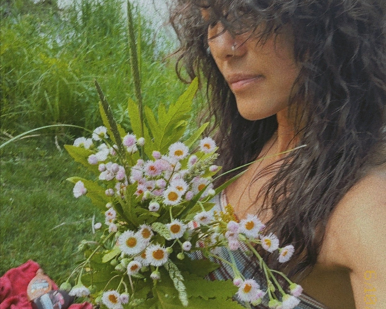 Williams Floral and Nursery, Florals, Arrangements, Plants